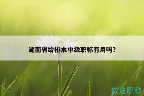 湖南省給排水中級職稱有用嗎？