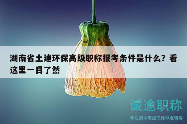 湖南省土建環(huán)保高級職稱報(bào)考條件是什么？看這里一目了然