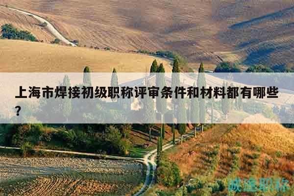 上海市焊接初級(jí)職稱(chēng)評(píng)審條件和材料都有哪些？