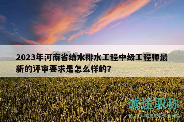 2023年河南省給水排水工程中級工程師最新的評審要求是怎么樣的？