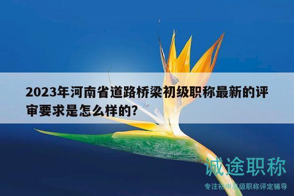 2023年河南省道路橋梁初級職稱最新的評審要求是怎么樣的？