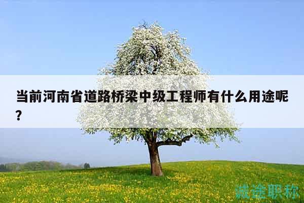 當(dāng)前河南省道路橋梁中級(jí)工程師有什么用途呢？