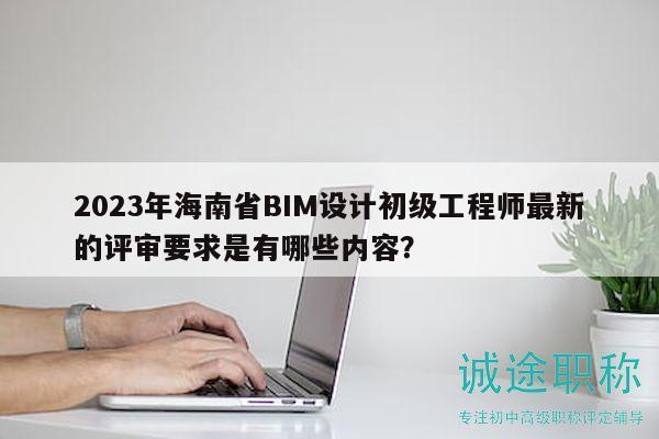 2023年海南省BIM設(shè)計(jì)初級(jí)工程師最新的評(píng)審要求是有哪些內(nèi)容？