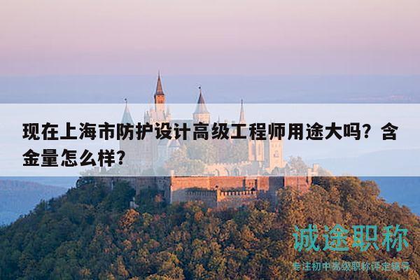 現(xiàn)在上海市防護(hù)設(shè)計(jì)高級(jí)工程師用途大嗎？含金量怎么樣？