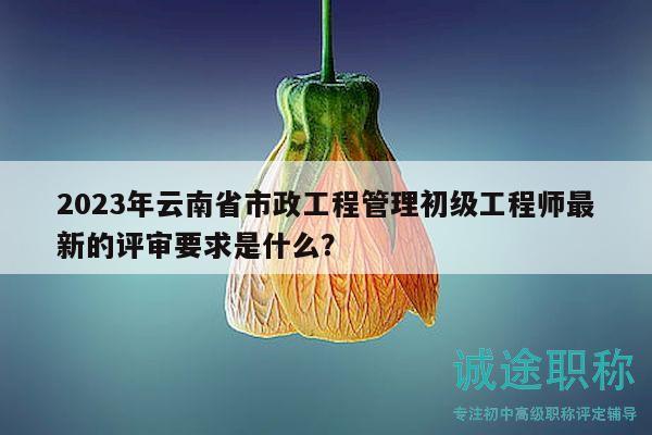 2023年云南省市政工程管理初級工程師最新的評審要求是什么？