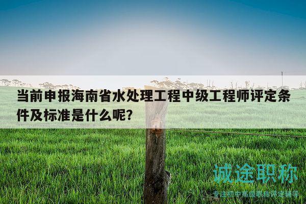當(dāng)前申報(bào)海南省水處理工程中級(jí)工程師評(píng)定條件及標(biāo)準(zhǔn)是什么呢？