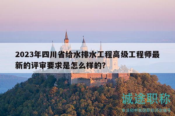 2023年四川省給水排水工程高級工程師最新的評審要求是怎么樣的？