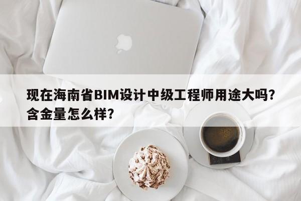 現(xiàn)在海南省BIM設(shè)計(jì)中級(jí)工程師用途大嗎？含金量怎么樣？