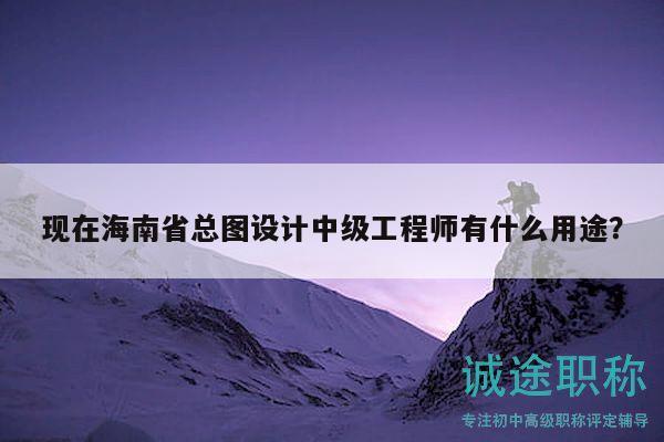 現(xiàn)在海南省總圖設(shè)計(jì)中級(jí)工程師有什么用途？