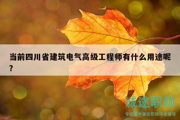 當(dāng)前四川省建筑電氣高級工程師有什么用途呢？