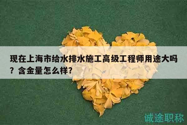 現(xiàn)在上海市給水排水施工高級(jí)工程師用途大嗎？含金量怎么樣？