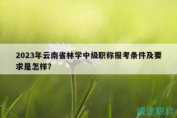 2023年云南省林學(xué)中級職稱報考條件及要求是怎樣？