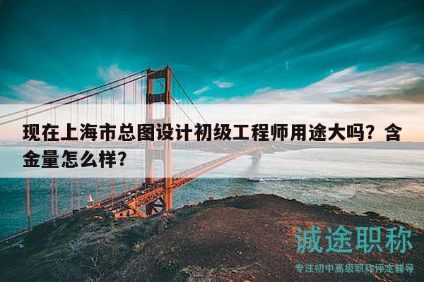 現(xiàn)在上海市總圖設(shè)計(jì)初級(jí)工程師用途大嗎？含金量怎么樣？