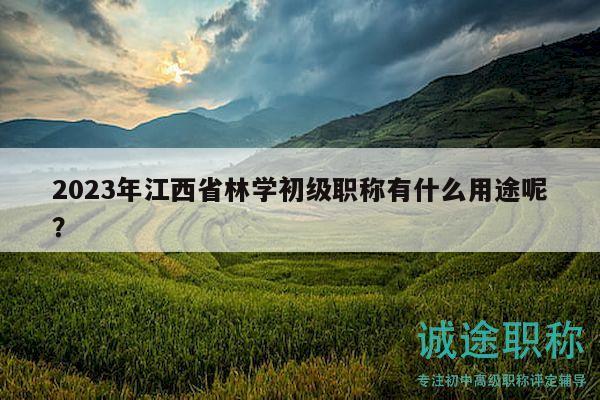 2023年江西省林學(xué)初級(jí)職稱有什么用途呢？