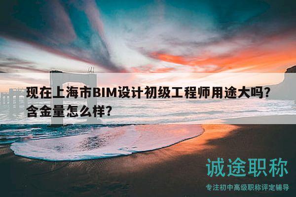 現(xiàn)在上海市BIM設(shè)計初級工程師用途大嗎？含金量怎么樣？