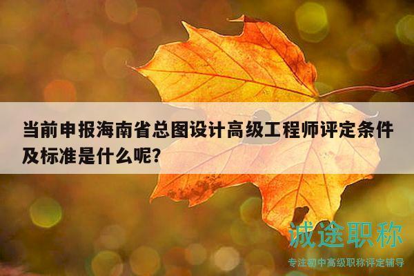 當(dāng)前申報(bào)海南省總圖設(shè)計(jì)高級工程師評定條件及標(biāo)準(zhǔn)是什么呢？