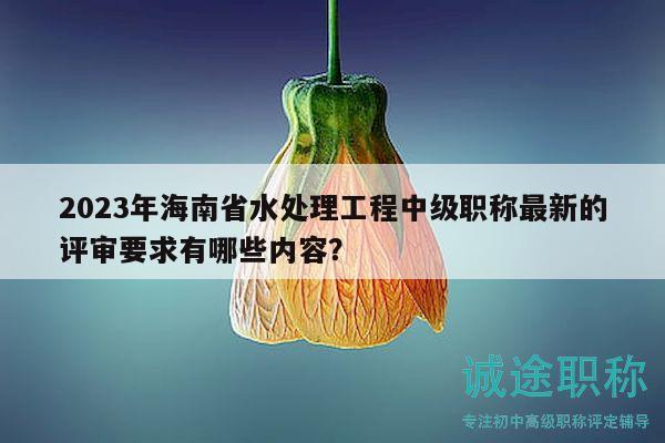 2023年海南省水處理工程中級(jí)職稱最新的評(píng)審要求有哪些內(nèi)容？