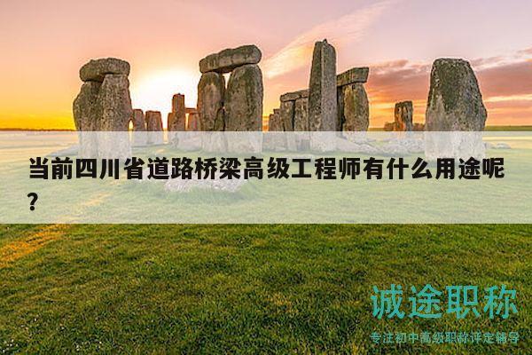 當前四川省道路橋梁高級工程師有什么用途呢？