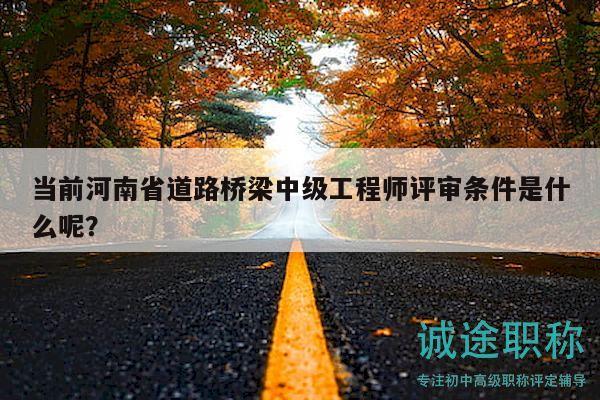 當前河南省道路橋梁中級工程師評審條件是什么呢？