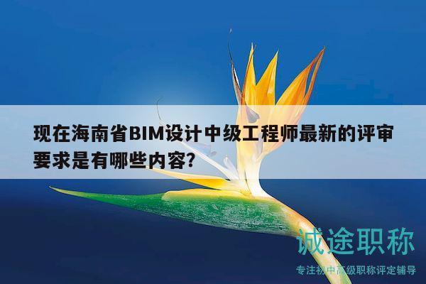 現(xiàn)在海南省BIM設(shè)計中級工程師最新的評審要求是有哪些內(nèi)容？