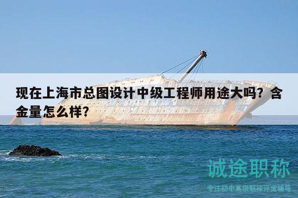 現(xiàn)在上海市總圖設(shè)計(jì)中級(jí)工程師用途大嗎？含金量怎么樣？