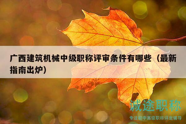 廣西建筑機(jī)械中級職稱評審條件有哪些（最新指南出爐）