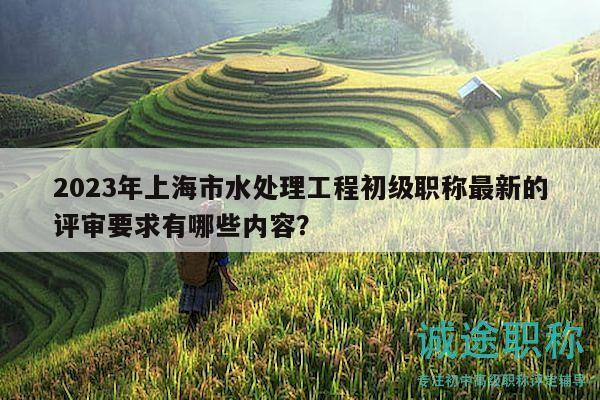 2023年上海市水處理工程初級(jí)職稱最新的評(píng)審要求有哪些內(nèi)容？