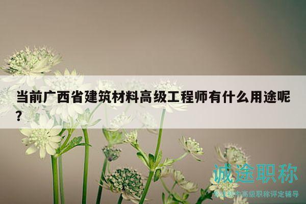 當(dāng)前廣西省建筑材料高級工程師有什么用途呢？
