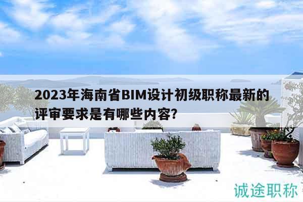 2023年海南省BIM設(shè)計(jì)初級(jí)職稱最新的評(píng)審要求是有哪些內(nèi)容？