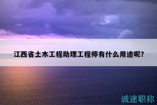 江西省土木工程助理工程師有什么用途呢？