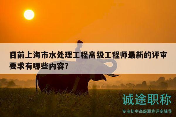 目前上海市水處理工程高級工程師最新的評審要求有哪些內(nèi)容？