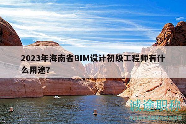 2023年海南省BIM設(shè)計(jì)初級(jí)工程師有什么用途？