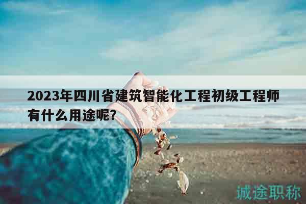 2023年四川省建筑智能化工程初級工程師有什么用途呢？