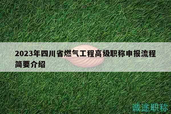 2023年四川省燃氣工程高級職稱申報流程簡要介紹