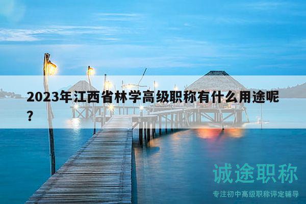 2023年江西省林學高級職稱有什么用途呢？