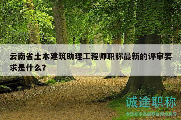 云南省土木建筑助理工程師職稱(chēng)最新的評(píng)審要求是什么？