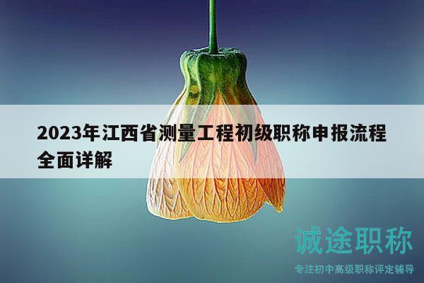 2023年江西省測(cè)量工程初級(jí)職稱申報(bào)流程全面詳解