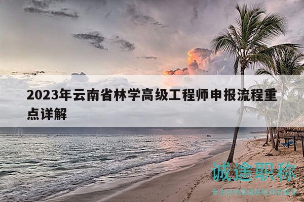 2023年云南省林學高級工程師申報流程重點詳解