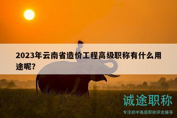 2023年云南省造價工程高級職稱有什么用途呢？