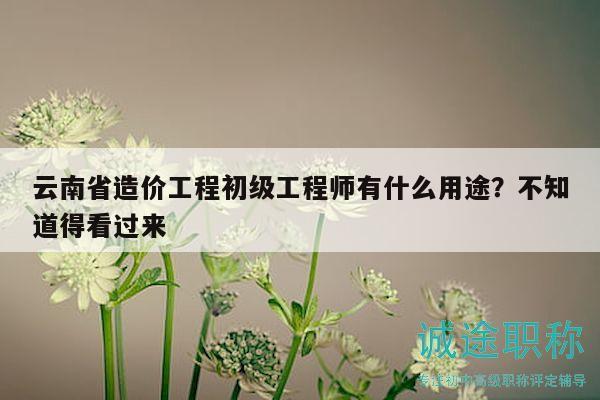 云南省造價工程初級工程師有什么用途？不知道得看過來