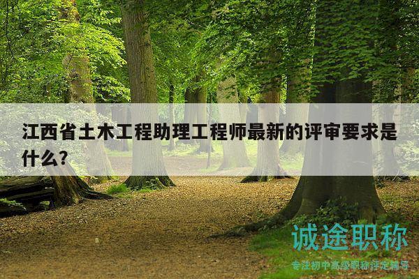 江西省土木工程助理工程師最新的評(píng)審要求是什么？