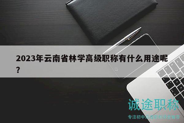 2023年云南省林學(xué)高級(jí)職稱有什么用途呢？