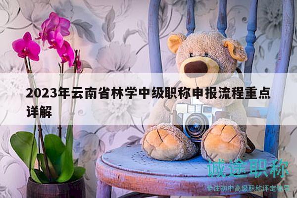 2023年云南省林學(xué)中級職稱申報流程重點(diǎn)詳解