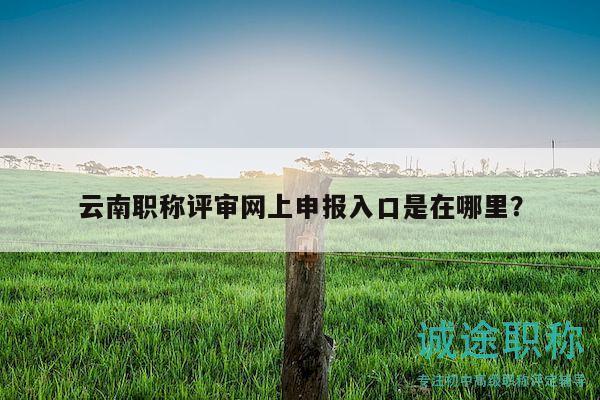 云南職稱評(píng)審網(wǎng)上申報(bào)入口是在哪里？
