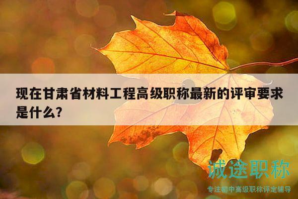 現(xiàn)在甘肅省材料工程高級職稱最新的評審要求是什么？