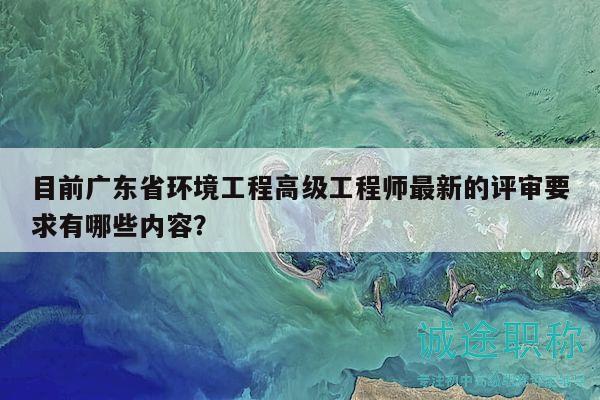 目前廣東省環(huán)境工程高級工程師最新的評審要求有哪些內(nèi)容？