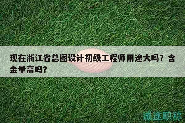 現(xiàn)在浙江省總圖設(shè)計(jì)初級工程師用途大嗎？含金量高嗎？