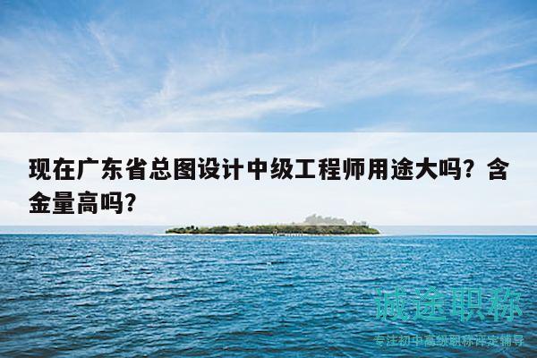 現(xiàn)在廣東省總圖設(shè)計(jì)中級(jí)工程師用途大嗎？含金量高嗎？