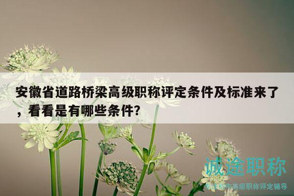 安徽省道路橋梁高級(jí)職稱評(píng)定條件及標(biāo)準(zhǔn)來了，看看是有哪些條件？