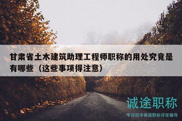 甘肅省土木建筑助理工程師職稱的用處究竟是有哪些（這些事項得注意）
